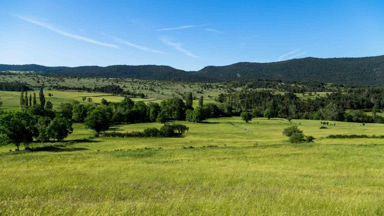 Eco-Apartaments Cal Rossa De Taus Exteriér fotografie